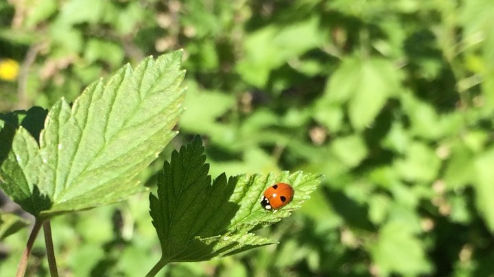 Miten luon kiinnostavia sisältöjä